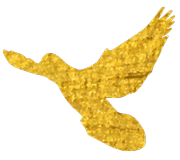 EIC | 斯人若彩虹,遇上方知有。 EIC | 斯人若彩虹,遇上方知有。