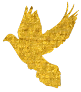 EIC | 斯人若彩虹,遇上方知有。 EIC | 斯人若彩虹,遇上方知有。