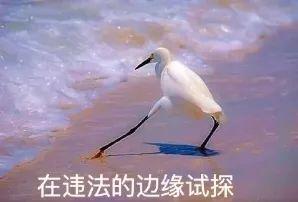 “史上最贵”的推特，到底值多少钱